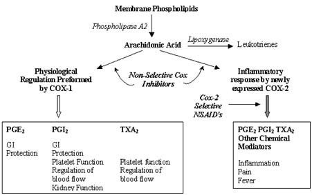 Farmakologi kortikosteroid pdf